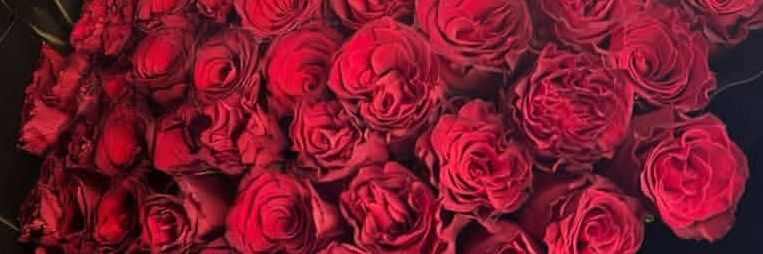 🍒 banner