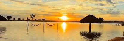 Li tuitta banner