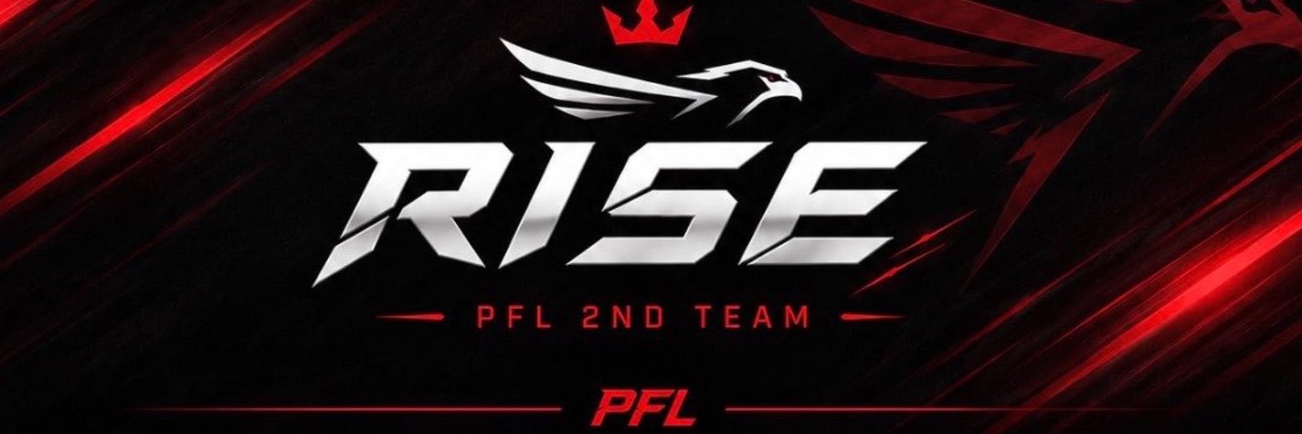 RISEmeraru's profile banner image