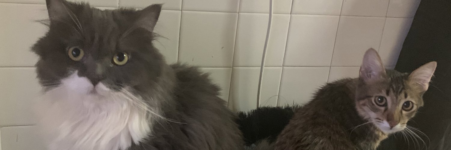 fatinsfudzi's profile banner image
