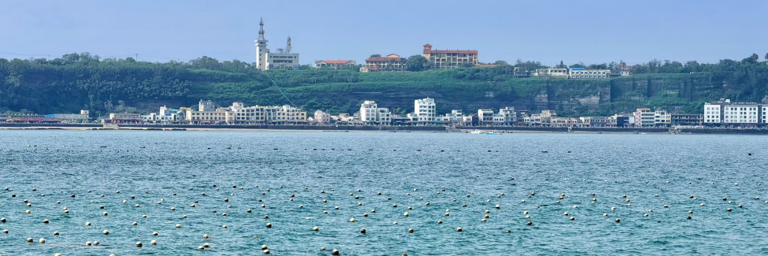 chnlingtin9863's profile banner image