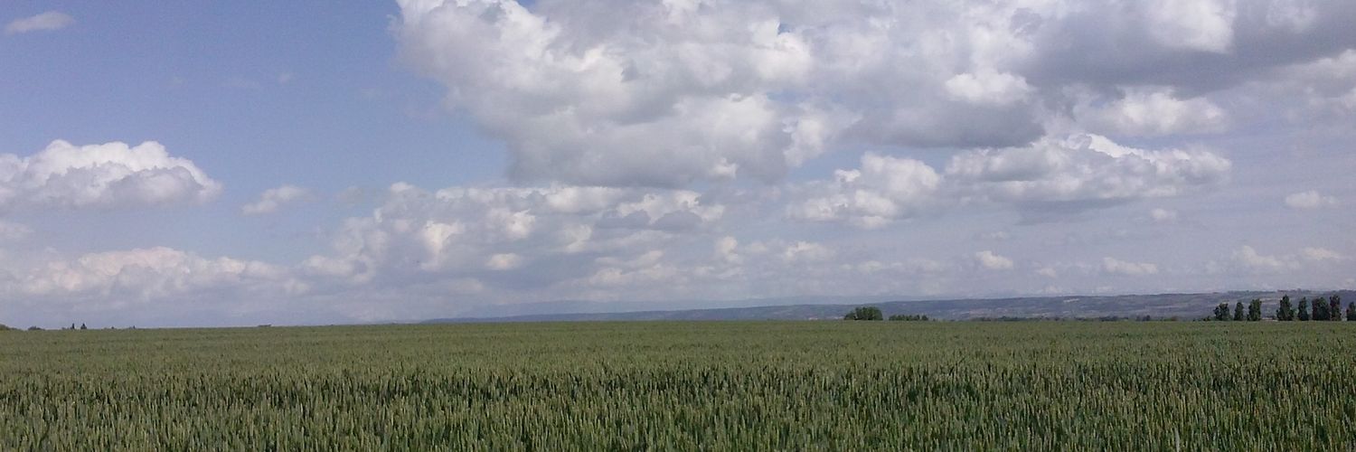topheul's profile banner image