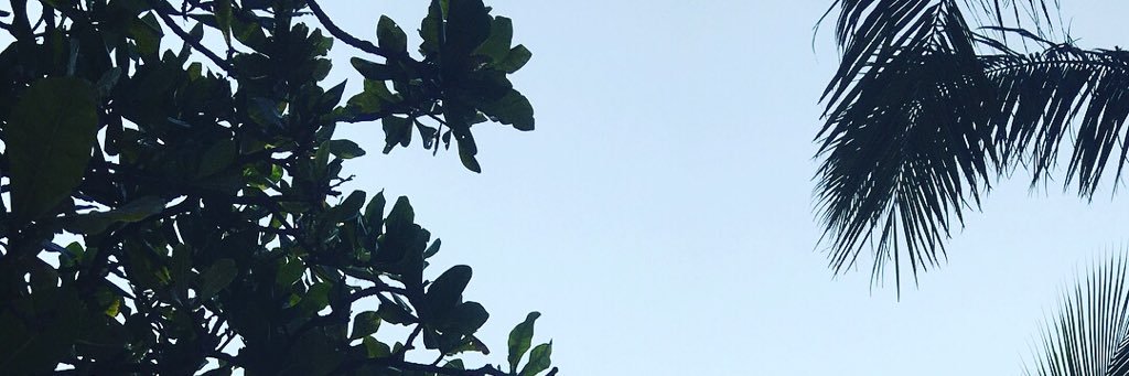 Liesyaa's profile banner image