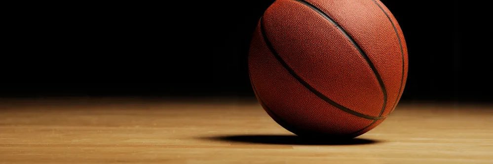 Lewis & Clark Basketball banner