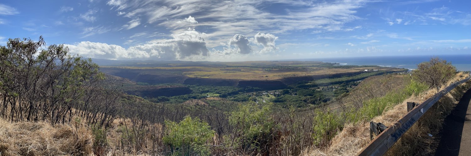 Squared Tacos banner