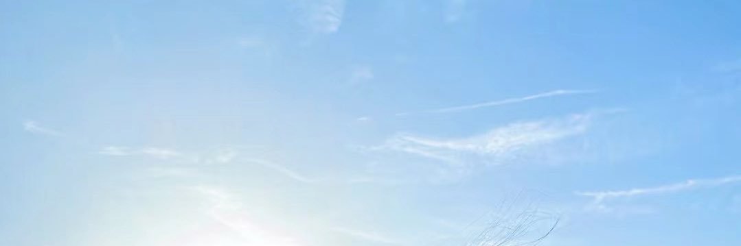 Pinkgun粉枪之重生版 banner