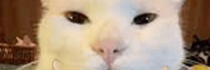 Timeskip Rebooted banner