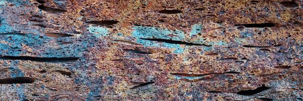 pjasta Profile Banner