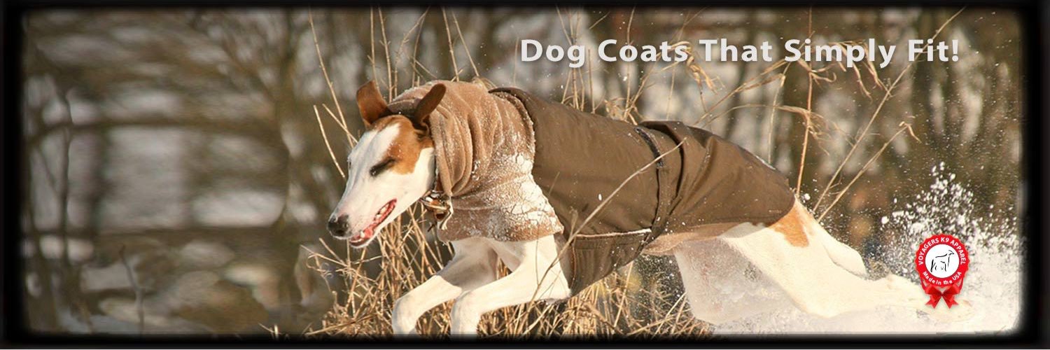 voyagers_k9's profile banner image