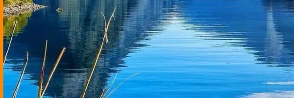 laraerij Profile Banner