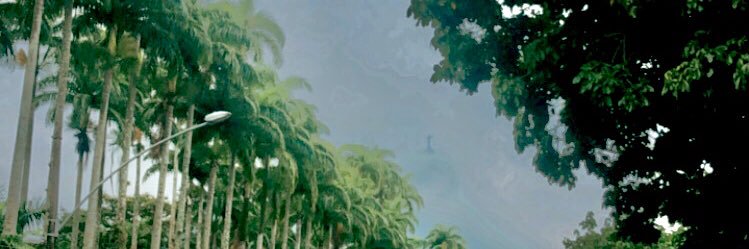 paszinski's profile banner image