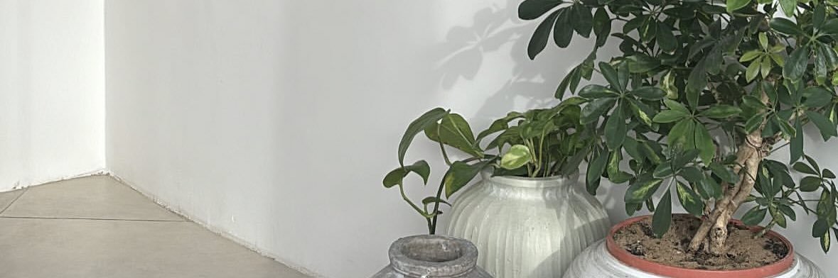 lamar👩🏻‍💻🌱 banner