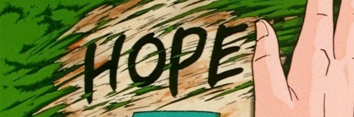 Leanderer banner