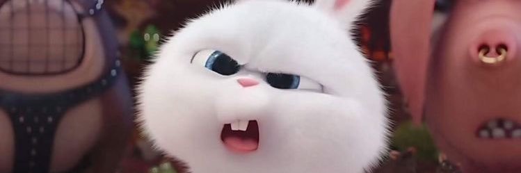 Sosoolaaa25's profile banner image