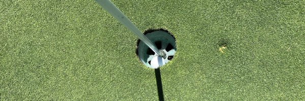 mmolinari620 Profile Banner