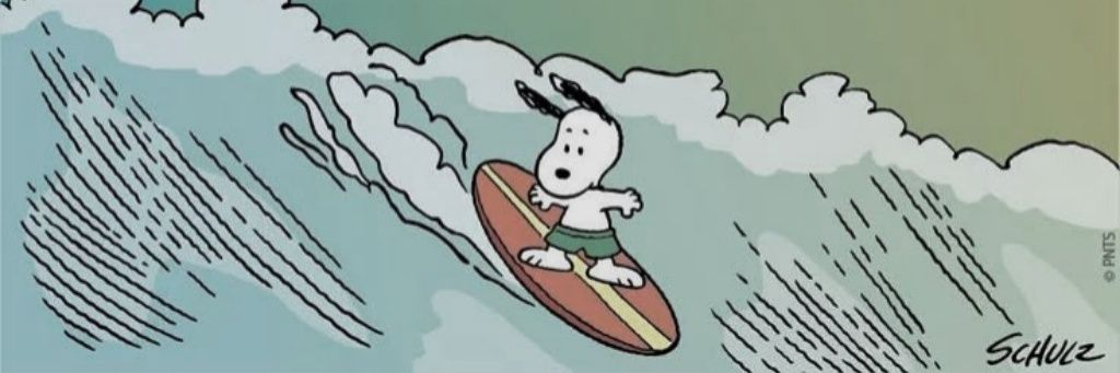 lisbtmn's profile banner image