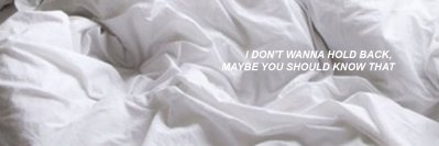 biebzystin's profile banner image