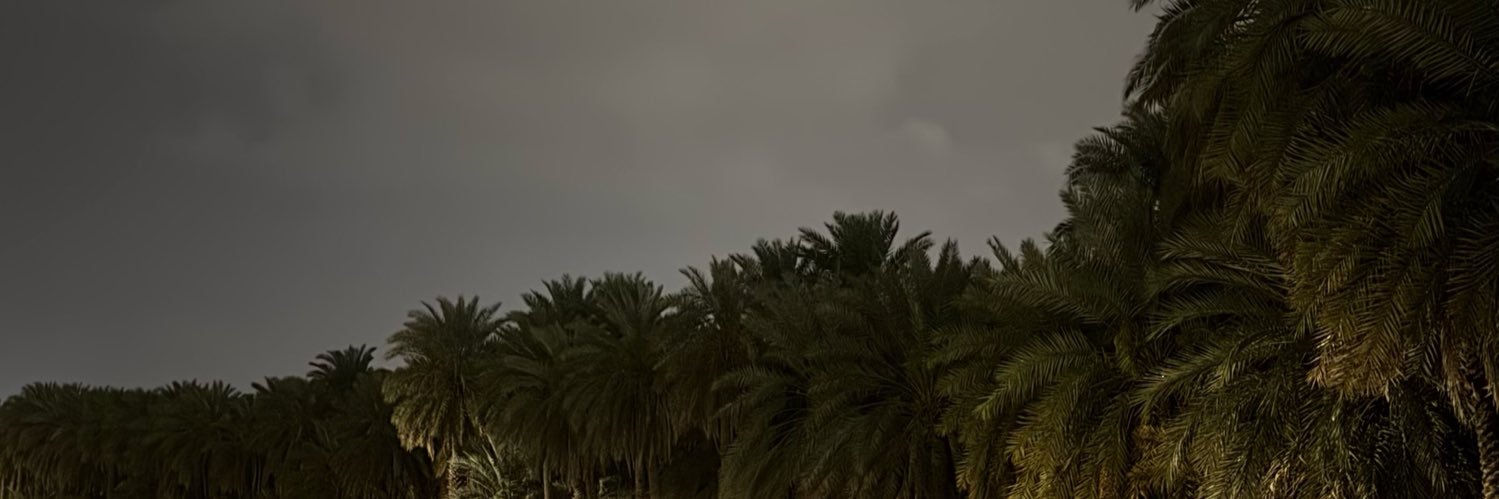 xll1nl's profile banner image