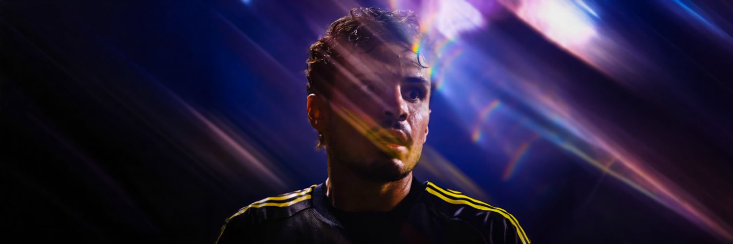Will banner