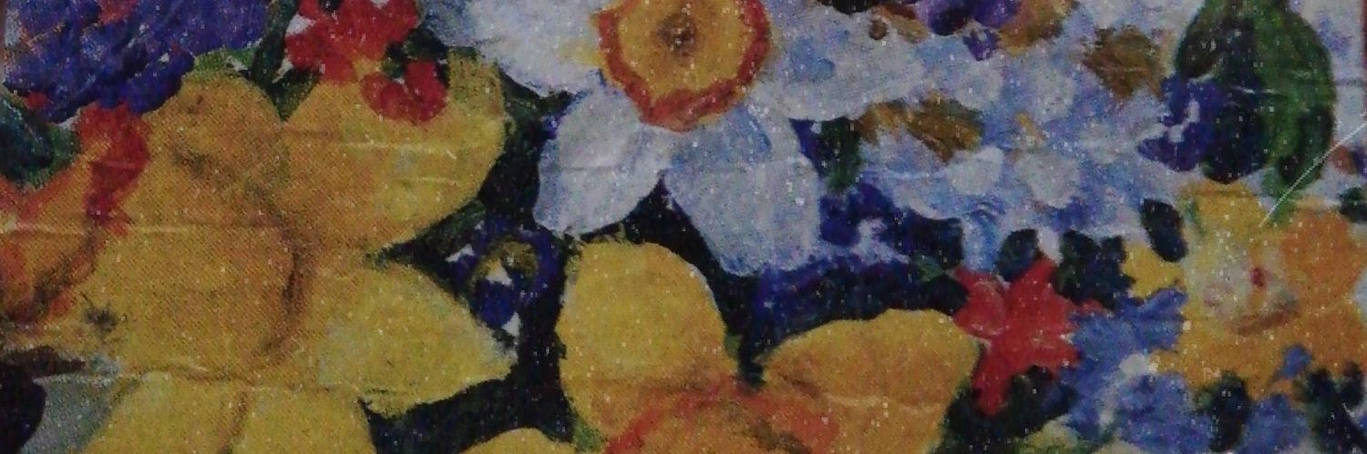 janellesolsonaa's profile banner image