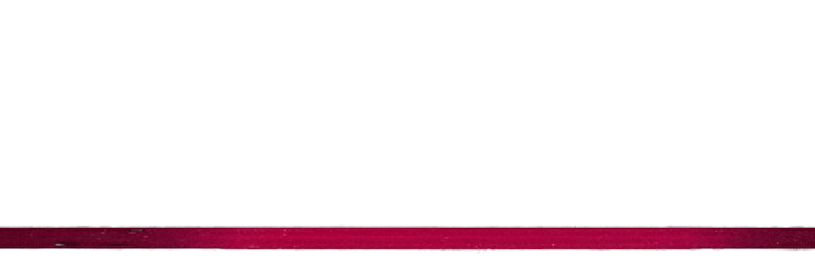 ‍ ᅠ✷ ‍ ᅠᵂᴵᑦᴷᴱᴰᅠ𝕭IႵE. banner