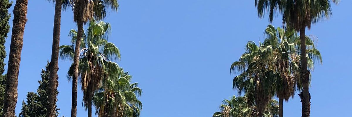 Saixxu's profile banner image