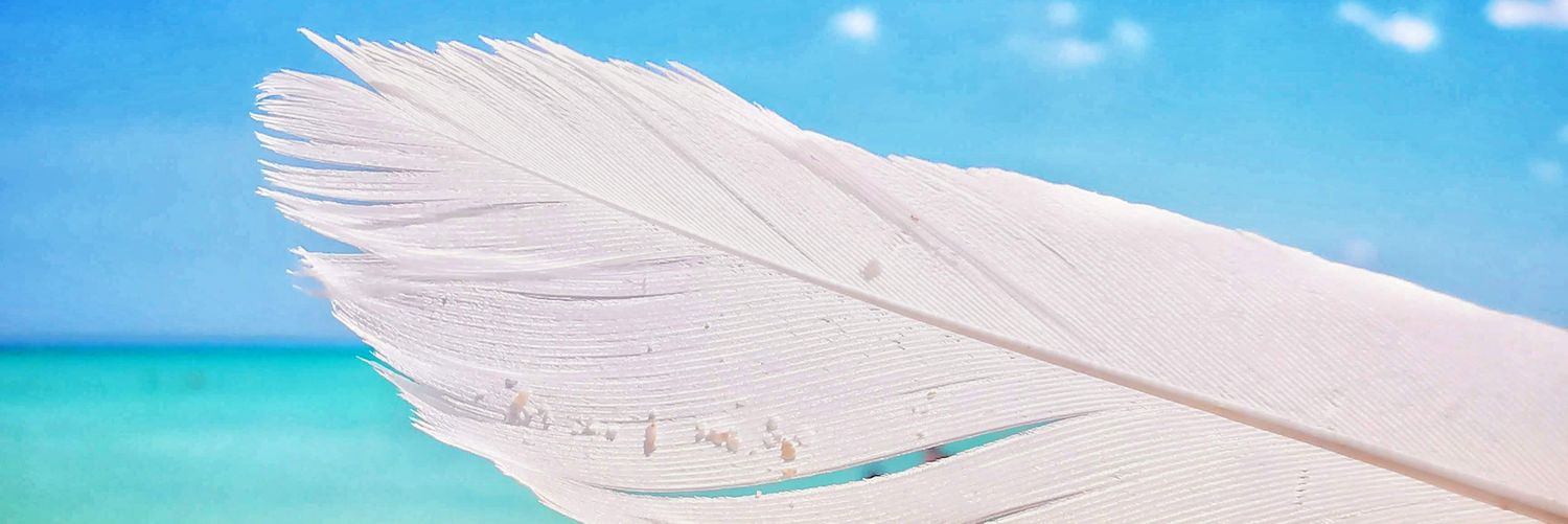 Adolfo Coronado banner