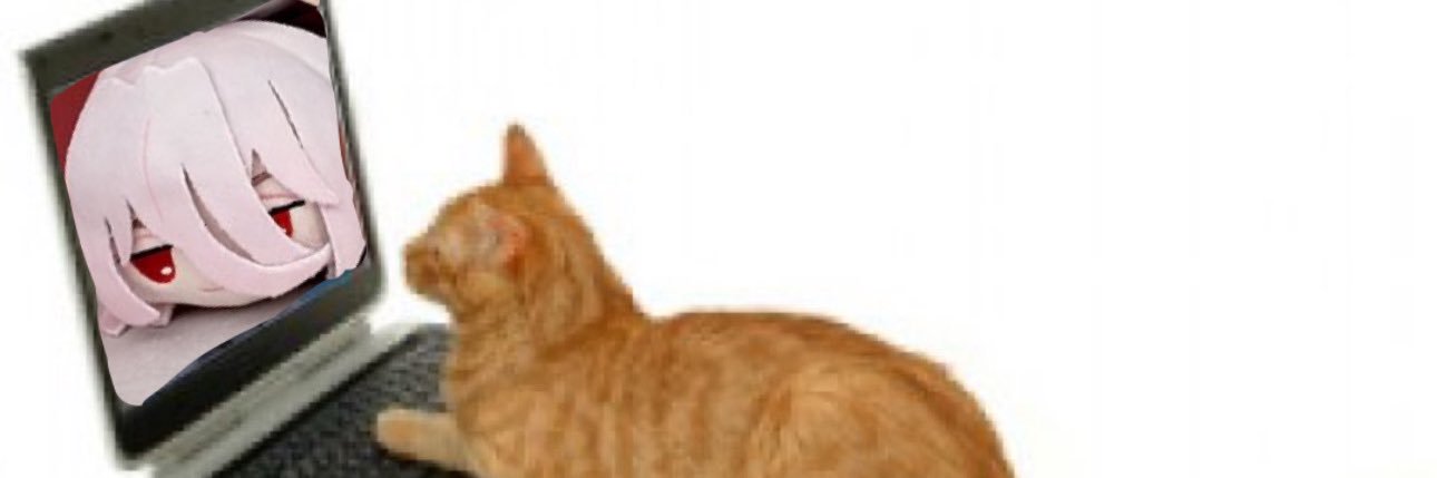 Shion ‹𝟹 Tabby banner