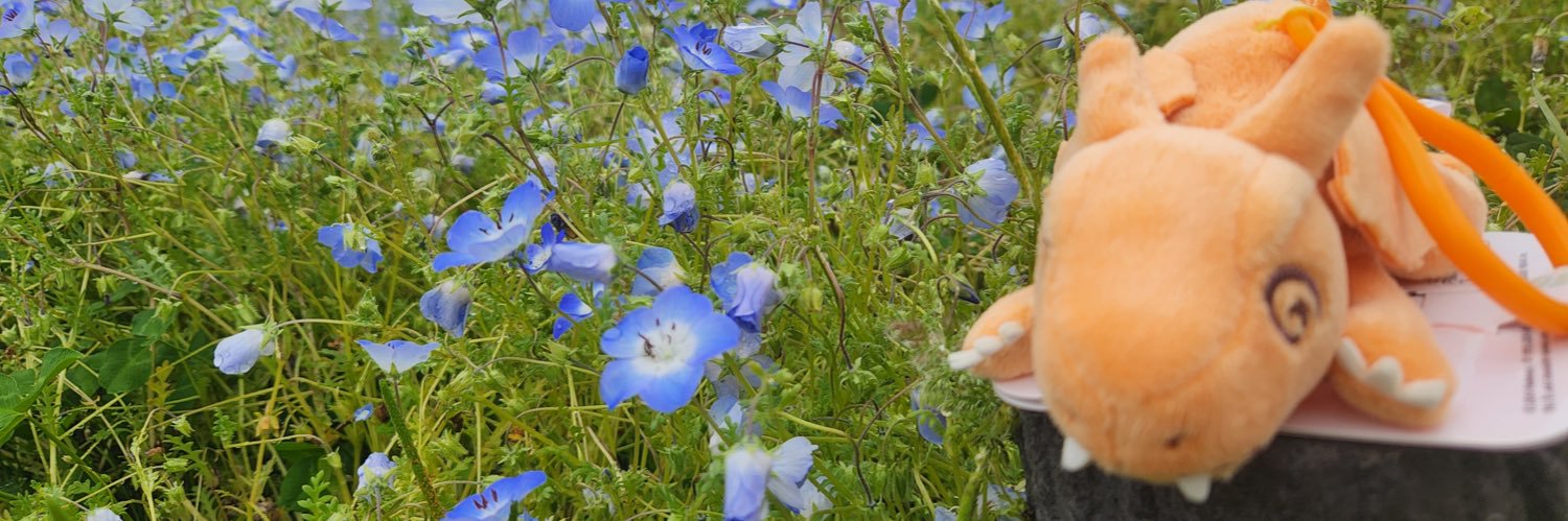 みずちゃむෆ˚* banner