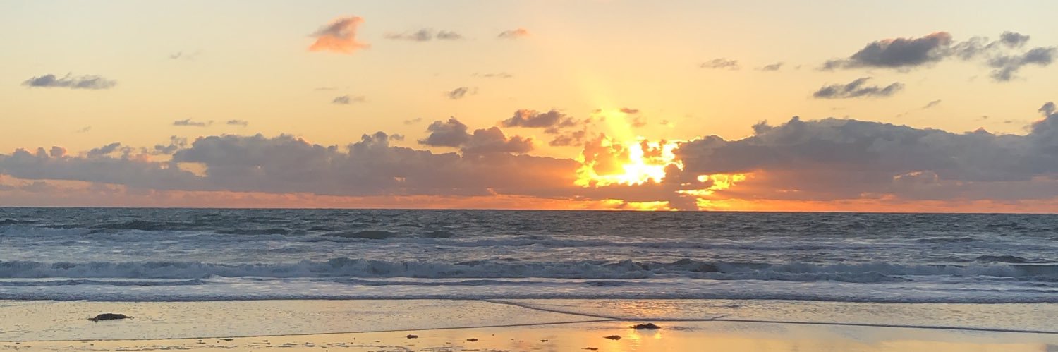 Bianca Rivas banner