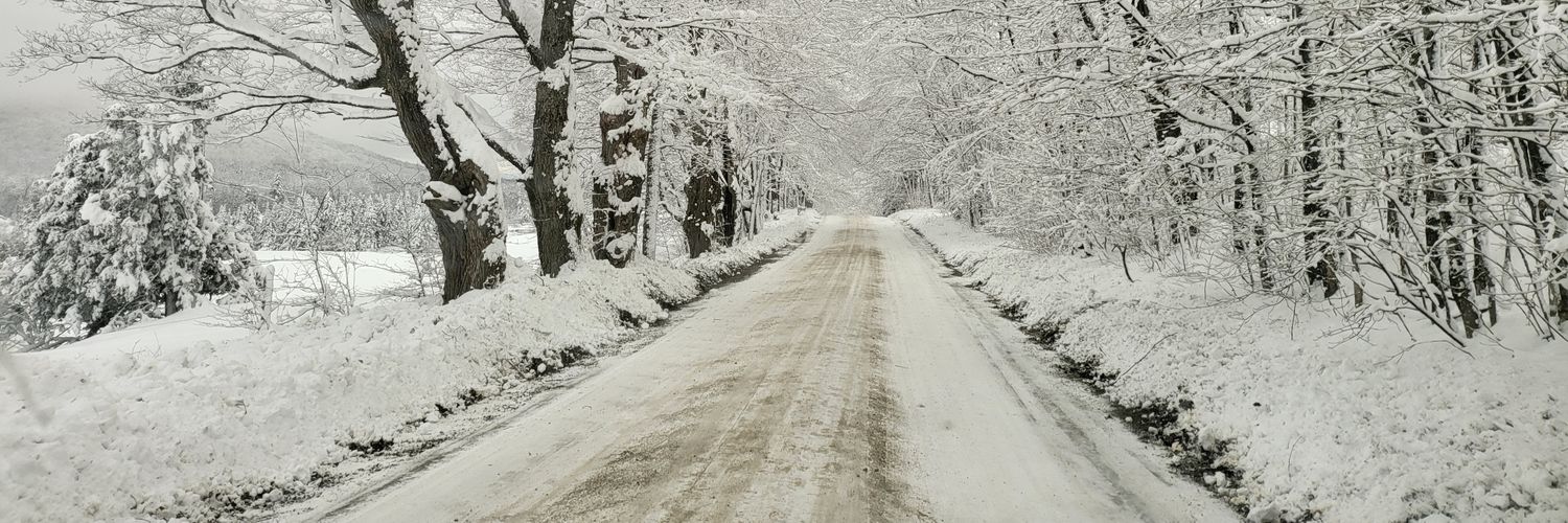 vtsnowbear's profile banner image