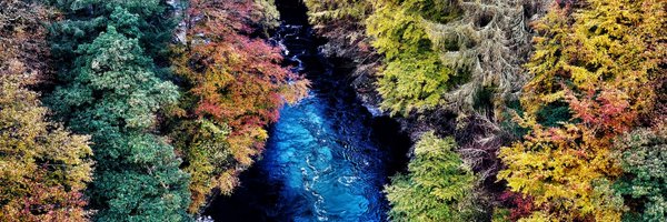 gbc123 Profile Banner