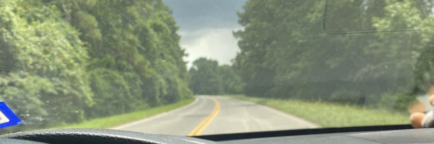 puccainshambles's profile banner image