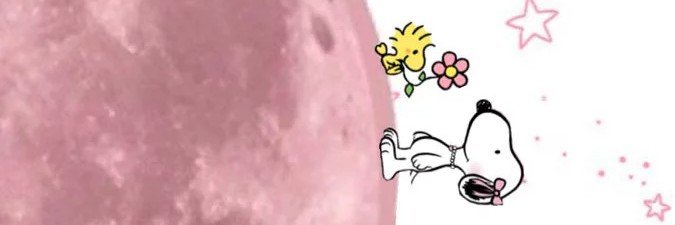 neldd___'s profile banner image