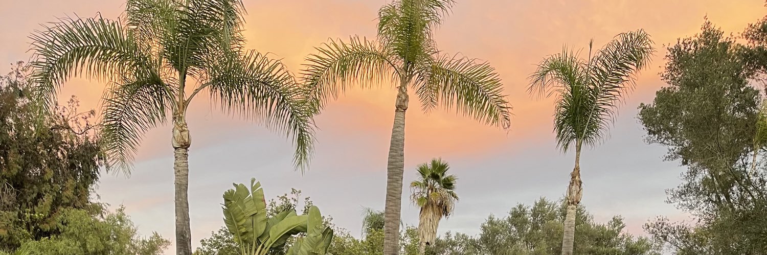 Davesaxton's profile banner image