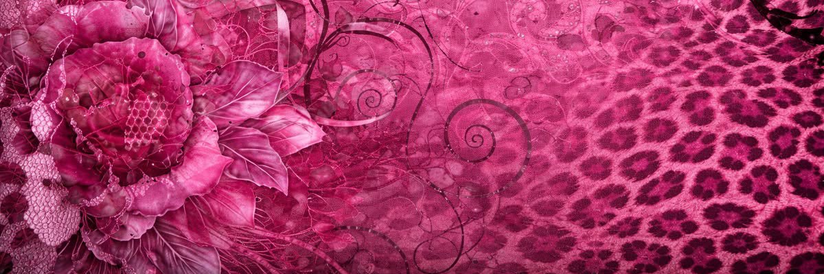 nothanksqhim's profile banner image