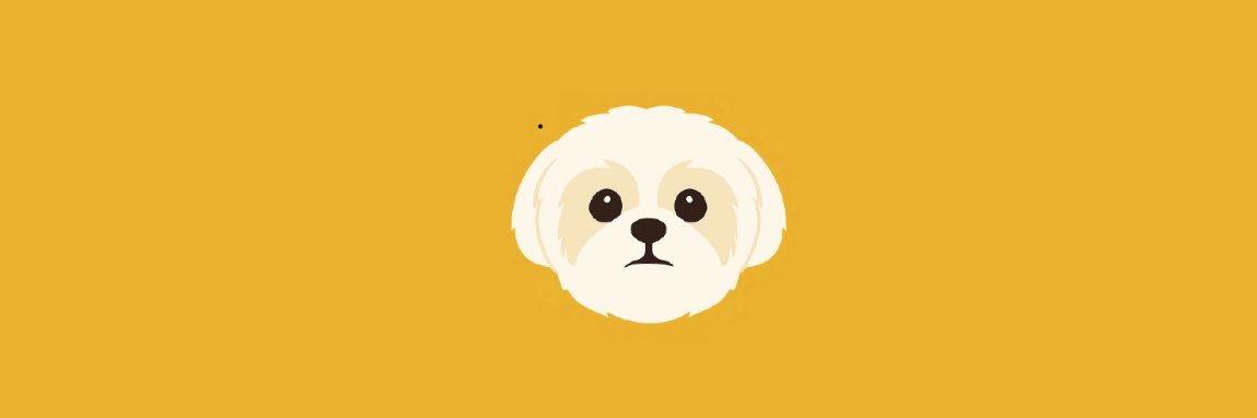 Shih Tzu | CTO banner