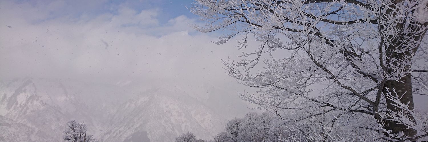 RodyonPhD's profile banner image