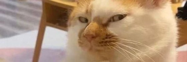 anothersatob Profile Banner