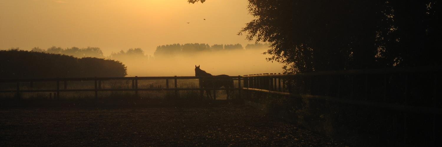 Tereza Murphy banner