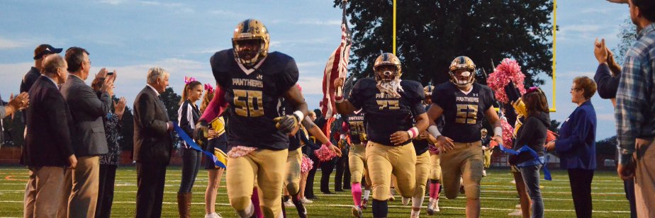 Frances Bowman banner