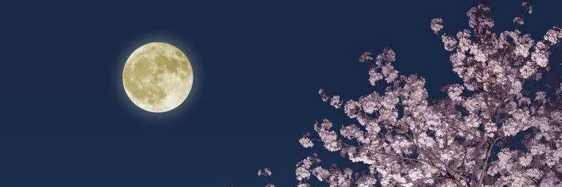 colorfullin's profile banner image