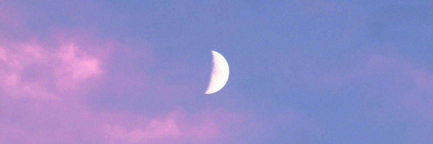1_nerti_4's profile banner image