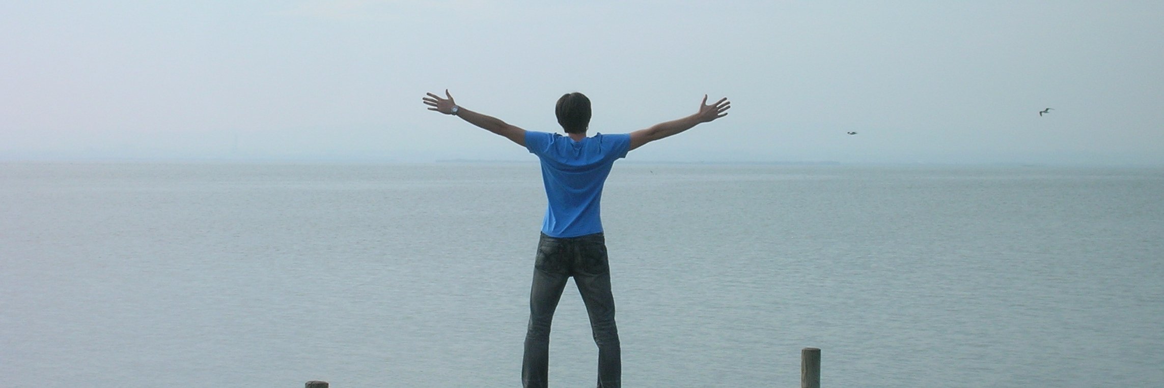 Andresuchi's profile banner image