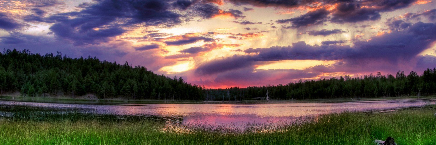 Sarah_EmilyE's profile banner image