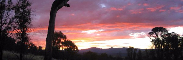 nynaevesblock Profile Banner