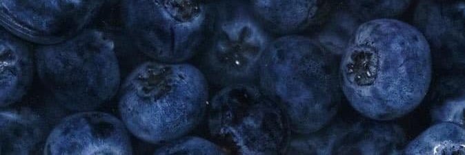 🌹 banner