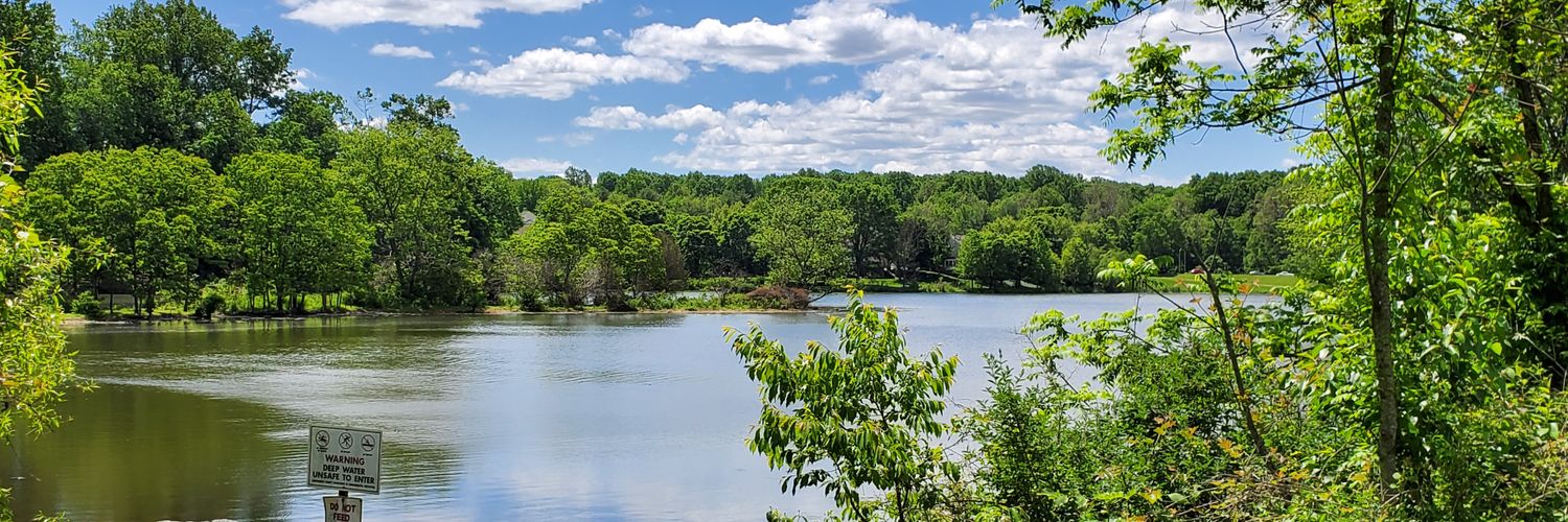 boughtahouseformydog banner