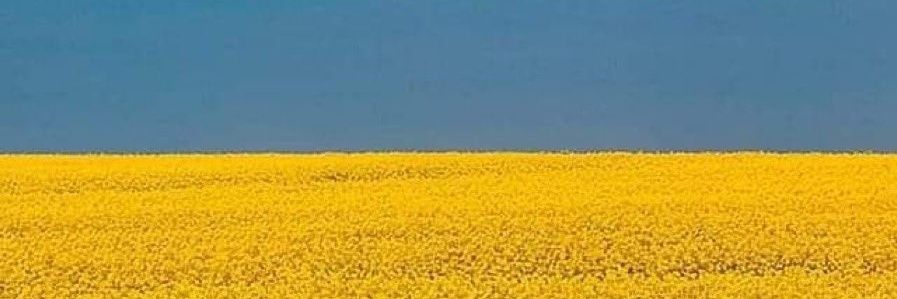 JoGreenidge's profile banner image