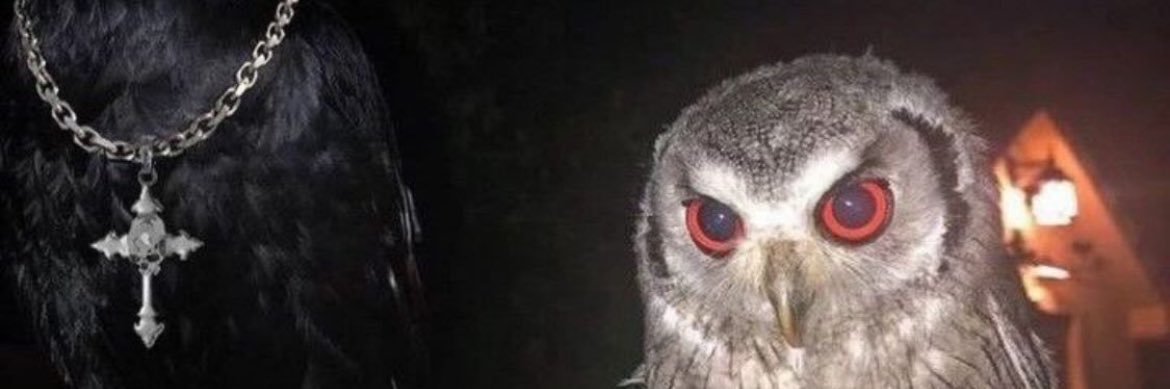 Ceejay™️ banner